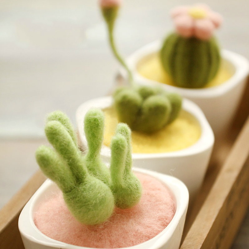 多肉盆栽羊毛毡(diy材料包)